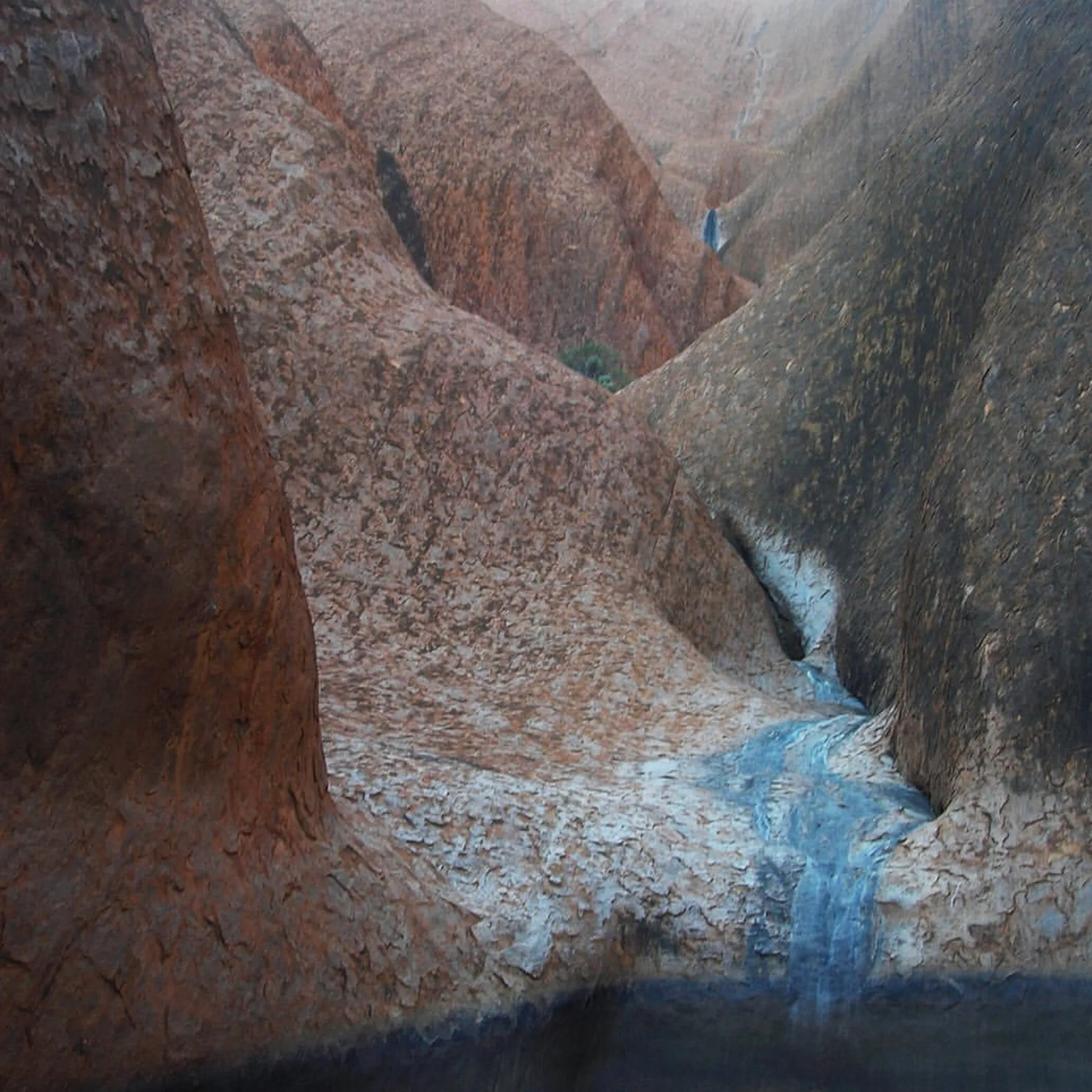 mutitjulu waterhole at uluru